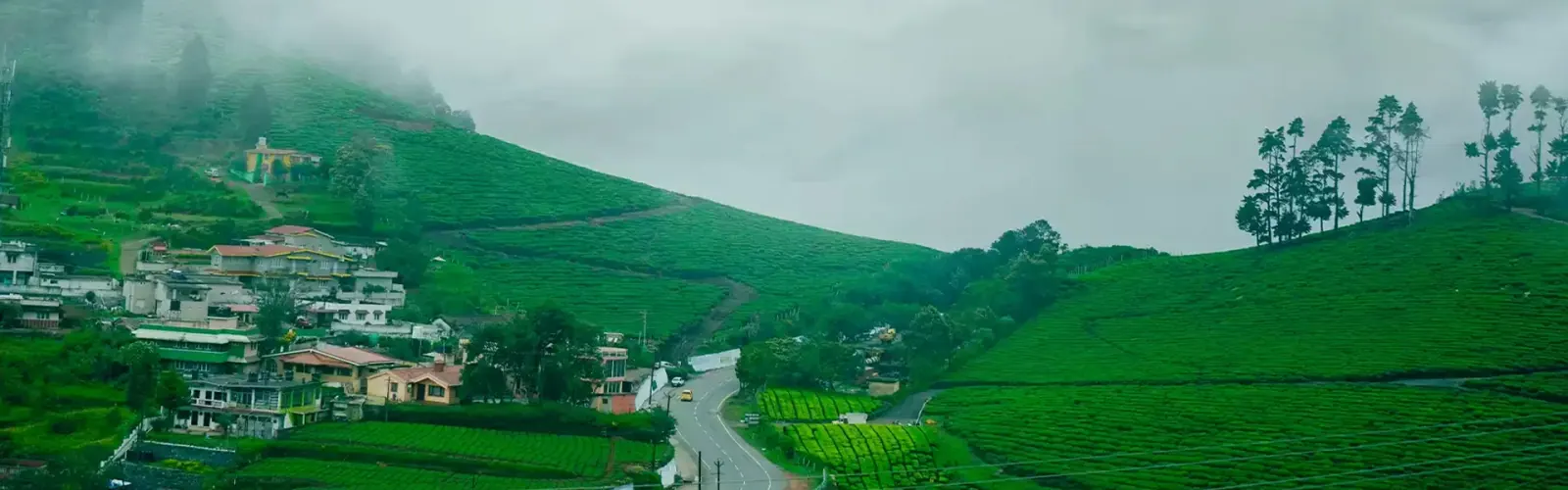 Book Bangalore To Ooty Cab 